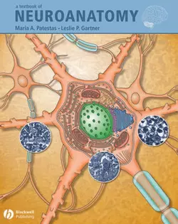 A Textbook of Neuroanatomy, Leslie Gartner