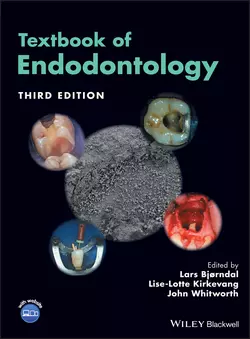 Textbook of Endodontology Lise-Lotte Kirkevang и John Whitworth