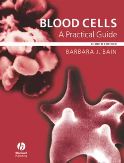 Blood Cells 