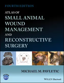 Atlas of Small Animal Wound Management and Reconstructive Surgery 