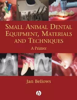 Small Animal Dental Equipment  Materials and Techniques 