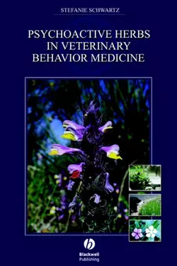 Psychoactive Herbs in Veterinary Behavior Medicine 