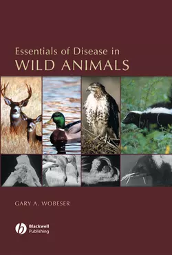 Essentials of Disease in Wild Animals 