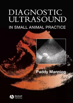 Diagnostic Ultrasound in Small Animal Practice 