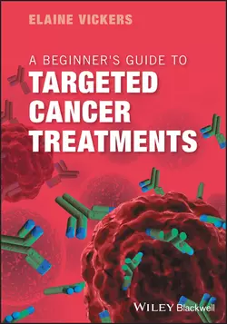 A Beginner′s Guide to Targeted Cancer Treatments