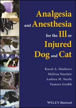 Analgesia and Anesthesia for the Ill or Injured Dog and Cat, Melissa Sinclair