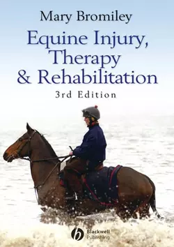 Equine Injury  Therapy and Rehabilitation 