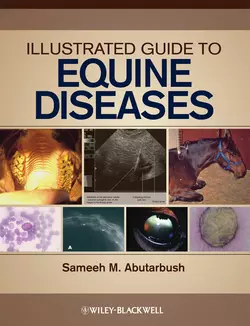 Illustrated Guide to Equine Diseases 