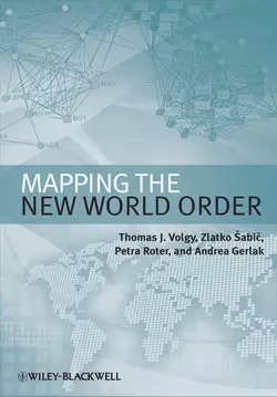 Mapping the New World Order, Petra Roter