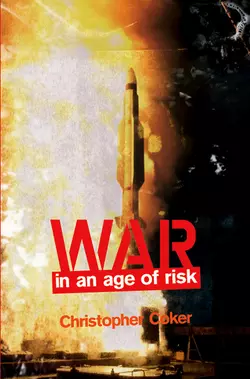 War in an Age of Risk 