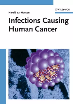 Infections Causing Human Cancer 