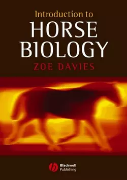 Introduction to Horse Biology 