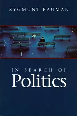 In Search of Politics 