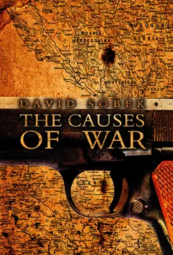 The Causes of War 