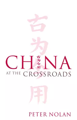 China at the Crossroads 