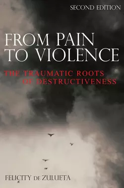 From Pain to Violence, Felicity Zulueta