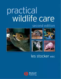 Practical Wildlife Care 