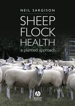 Sheep Flock Health 