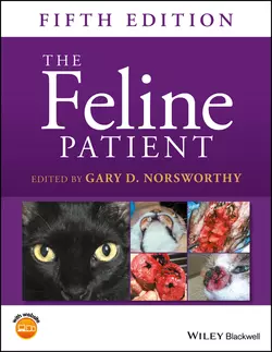 The Feline Patient 