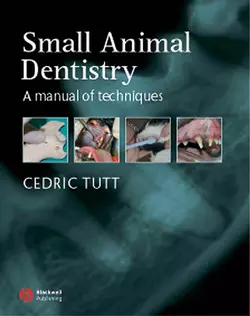 Small Animal Dentistry 