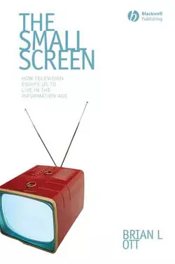 The Small Screen 