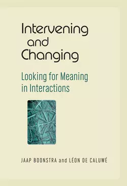 Intervening and Changing, Jaap Boonstra