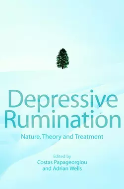 Depressive Rumination, Adrian Wells