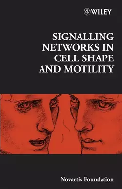 Signalling Networks in Cell Shape and Motility, Gregory Bock