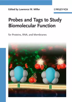 Probes and Tags to Study Biomolecular Function 