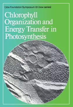 Chlorophyll Organization and Energy Transfer in Photosynthesis, CIBA Foundation Symposium