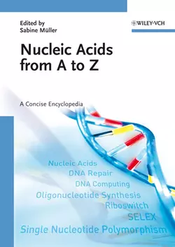 Nucleic Acids from A to Z 