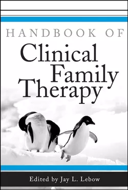 Handbook of Clinical Family Therapy 