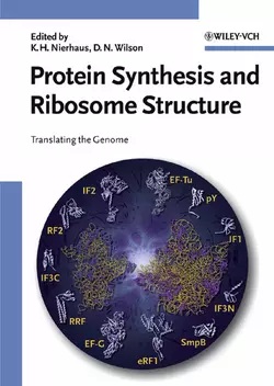 Protein Synthesis and Ribosome Structure, Daniel Wilson