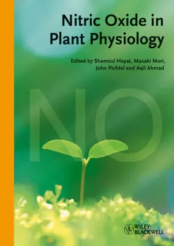 Nitric Oxide in Plant Physiology, John Pichtel