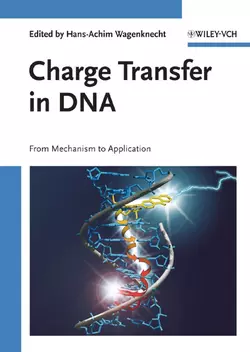 Charge Transfer in DNA, Hans-Achim Wagenknecht