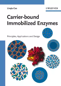 Carrier-bound Immobilized Enzymes, Linqiu Cao