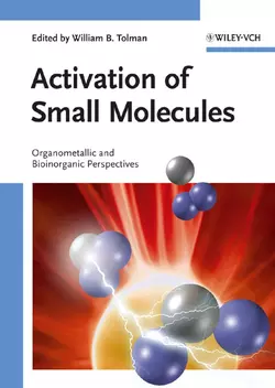 Activation of Small Molecules 