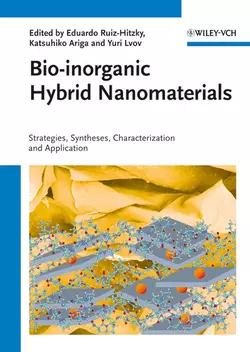 Bio-inorganic Hybrid Nanomaterials Katsuhiko Ariga и Eduardo Ruiz-Hitzky