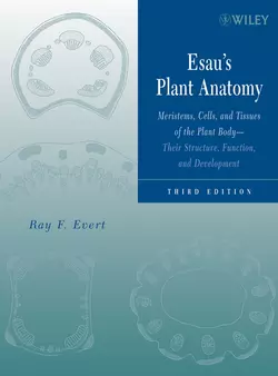 Esau′s Plant Anatomy, Ray Evert