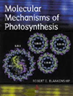 Molecular Mechanisms of Photosynthesis 