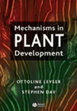 Mechanisms in Plant Development, Ottoline Leyser