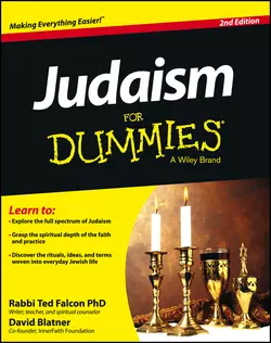 Judaism For Dummies, David Blatner