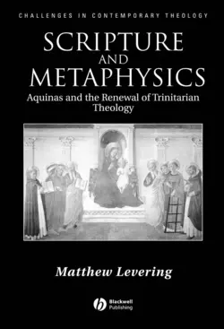 Scripture and Metaphysics 