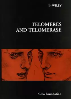 Telomeres and Telomerase Gail Cardew и Derek Chadwick