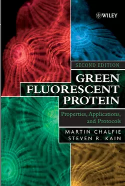 Green Fluorescent Protein, Martin Chalfie