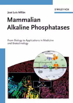 Mammalian Alkaline Phosphatases 