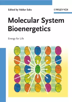 Molecular System Bioenergetics 