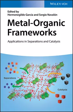 Metal-Organic Frameworks, Sergio Navalón