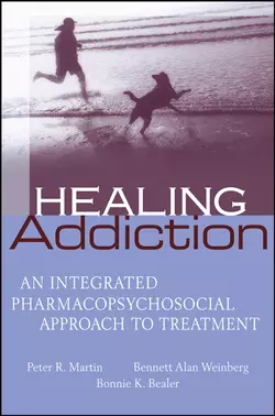 Healing Addiction, Peter Martin