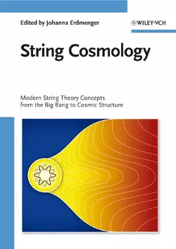 String Cosmology 